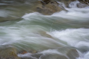 Bahar Ormanı 'ndaki fırtınalı nehir.