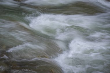 Bahar Ormanı 'ndaki fırtınalı nehir.