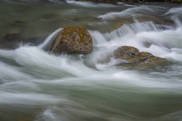 Fiume Tempestoso Nella Foresta Montana Primaverile — Foto Stock