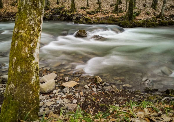 Stormy River Spring Mountain Forest — Stock Photo, Image