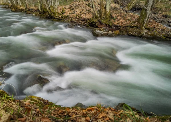 Fiume Tempestoso Nella Foresta Montana Primaverile — Foto Stock