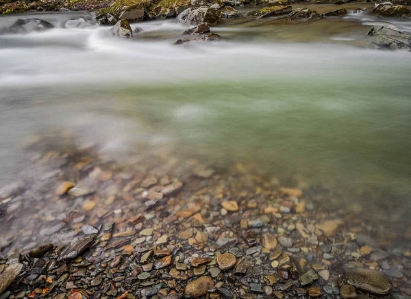 Бурная Река Весеннем Горном Лесу — стоковое фото