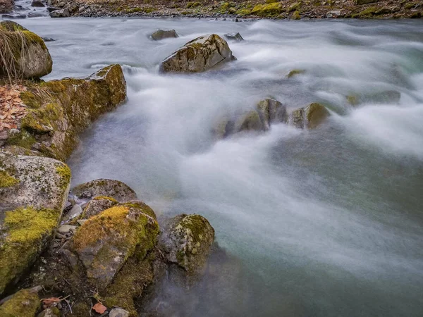 Burzliwa Rzeka Wiosennym Lesie Górskim — Zdjęcie stockowe