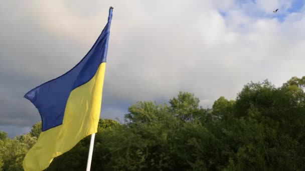 Ландшафт Українським Прапором Летючою Лелелекою Небі — стокове відео