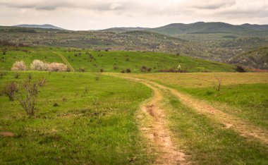 Dağlık kırlarda ilkbahar manzarası
