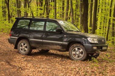 SUV baharda Karpatlar 'ın dağlık kırsal bölgelerinde dolaşır.