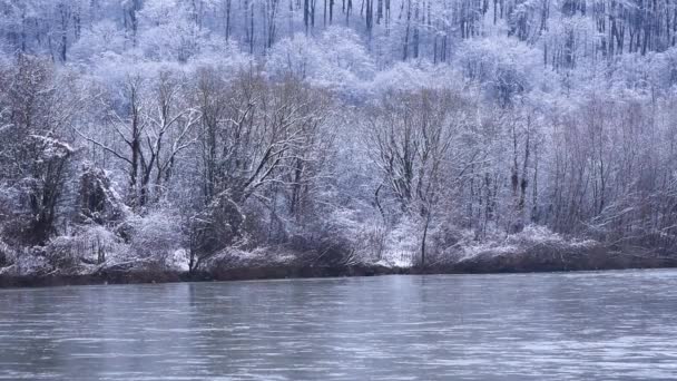 午後には冬の山の川の風景晴れ — ストック動画