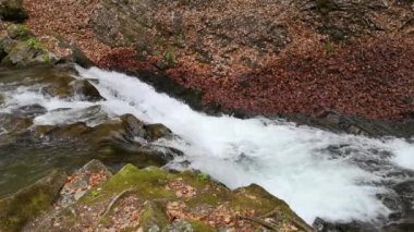 Bahar Dağı ormanında fırtınalı şelale