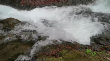 Bahar Dağı ormanında fırtınalı şelale