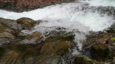 Bahar Dağı ormanında fırtınalı şelale