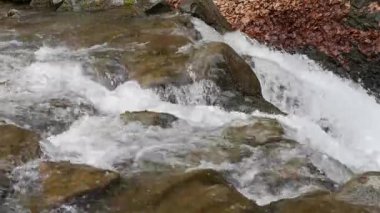 Bahar Dağı ormanında fırtınalı şelale
