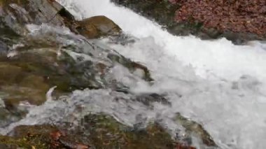 Bahar Dağı ormanında fırtınalı şelale