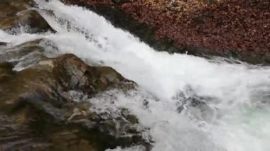 Bahar Dağı ormanında fırtınalı şelale