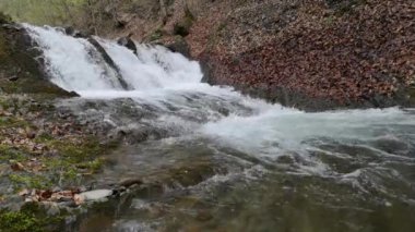 Bahar Dağı ormanında fırtınalı şelale