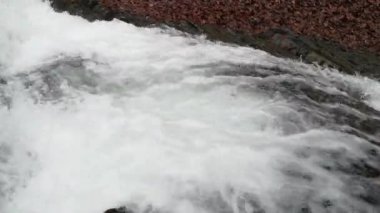 Bahar Dağı ormanında fırtınalı şelale