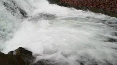 Bahar Dağı ormanında fırtınalı şelale