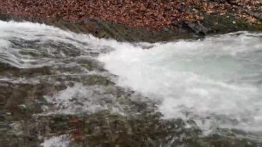 Bahar Dağı ormanında fırtınalı şelale