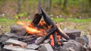 Dağ nehrinin kıyısında yakacak odun yangını