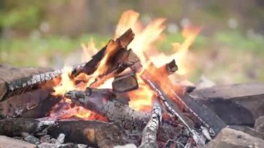 Dağ nehrinin kıyısında yakacak odun yangını