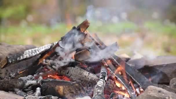 Tűzifa Tűz Hegyi Patak Partján — Stock videók
