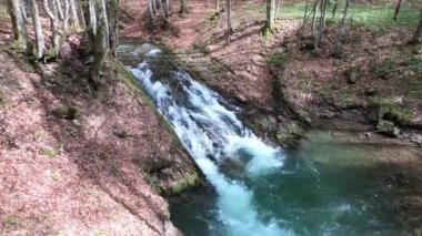 Bahar Dağı ormanında fırtınalı şelale