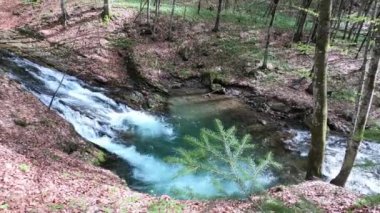 Bahar Dağı ormanında fırtınalı şelale