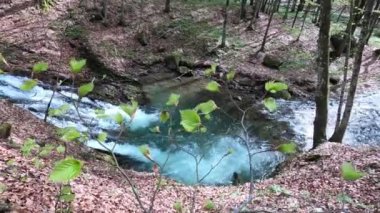 Bahar Dağı ormanında fırtınalı şelale