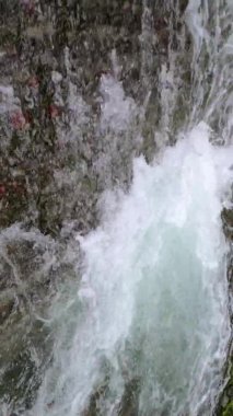 Bahar Dağı ormanında fırtınalı şelale