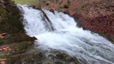 Bahar Dağı ormanında fırtınalı şelale