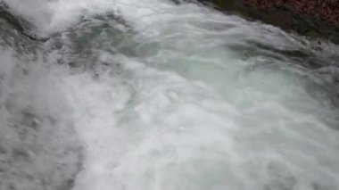 Bahar Dağı ormanında fırtınalı şelale