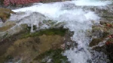 Bahar Dağı ormanında fırtınalı şelale