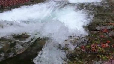 Bahar Dağı ormanında fırtınalı şelale