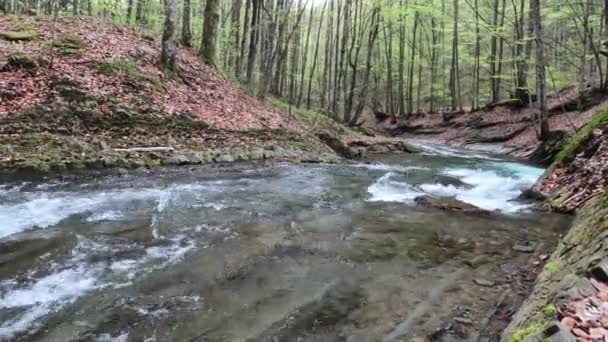 Bouřlivý Vodopád Jarním Horském Lese — Stock video