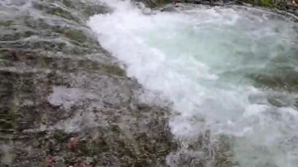 Stürmischer Wasserfall Frühling Bergwald — Stockvideo