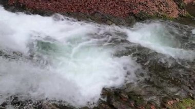 Bahar Dağı ormanında fırtınalı şelale