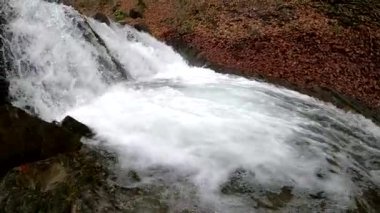 Bahar Dağı ormanında fırtınalı şelale