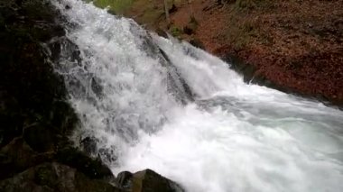 Bahar Dağı ormanında fırtınalı şelale