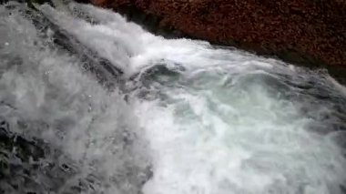 Bahar Dağı ormanında fırtınalı şelale