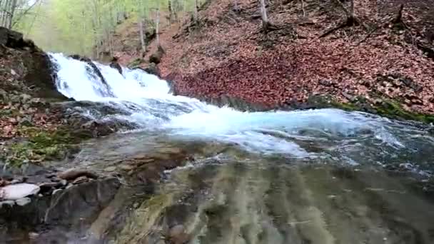 Bouřlivý Vodopád Jarním Horském Lese — Stock video