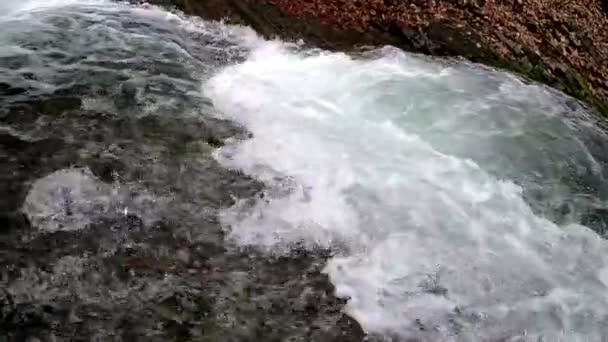 Cascada Tormentosa Bosque Montaña Primavera — Vídeo de stock