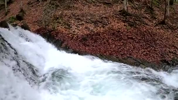Bouřlivý Vodopád Jarním Horském Lese — Stock video
