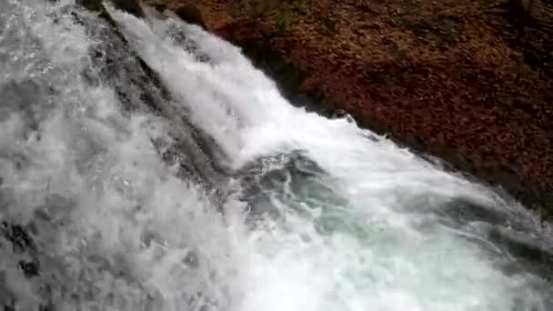 Бурный Водопад Весеннем Горном Лесу — стоковое видео