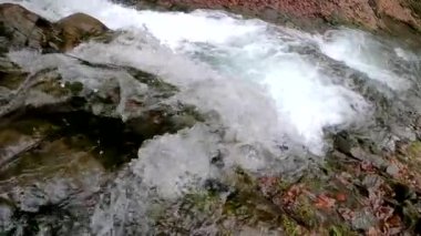 Bahar Dağı ormanında fırtınalı şelale