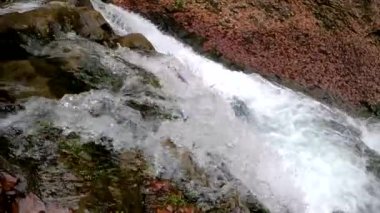 Bahar Dağı ormanında fırtınalı şelale