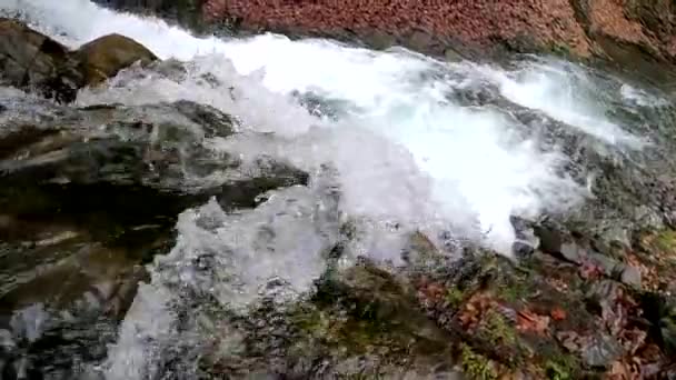 Stürmischer Wasserfall Frühling Bergwald — Stockvideo
