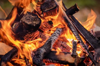 Dağ nehrinin kıyısında yakacak odun yangını