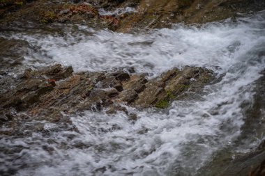 Bahar Dağı ormanında fırtınalı şelale