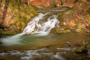 Bahar Dağı ormanında fırtınalı şelale