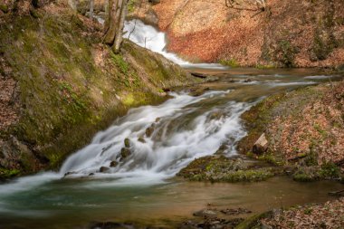 Bahar Dağı ormanında fırtınalı şelale