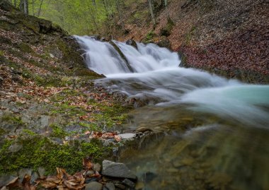Bahar Dağı ormanında fırtınalı şelale